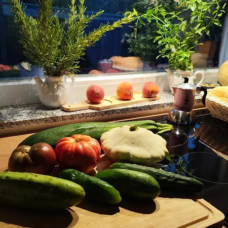 펜션 Casa Nova