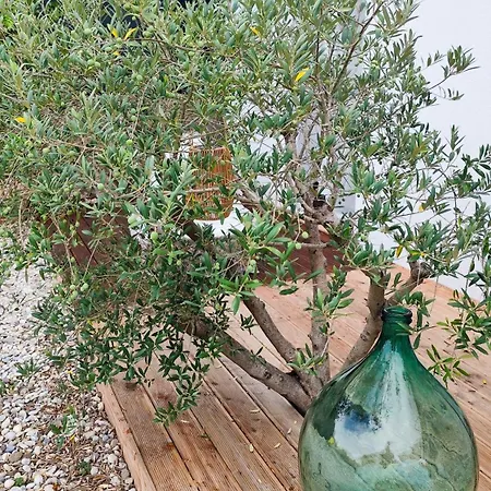 Casa Nova Semesterbostad *